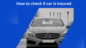 car insurance check
