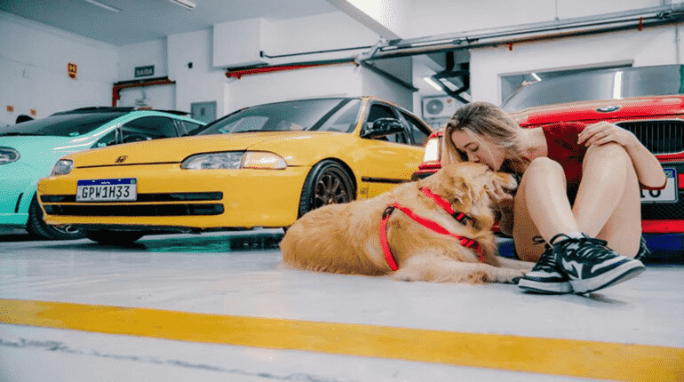 buying first car for student